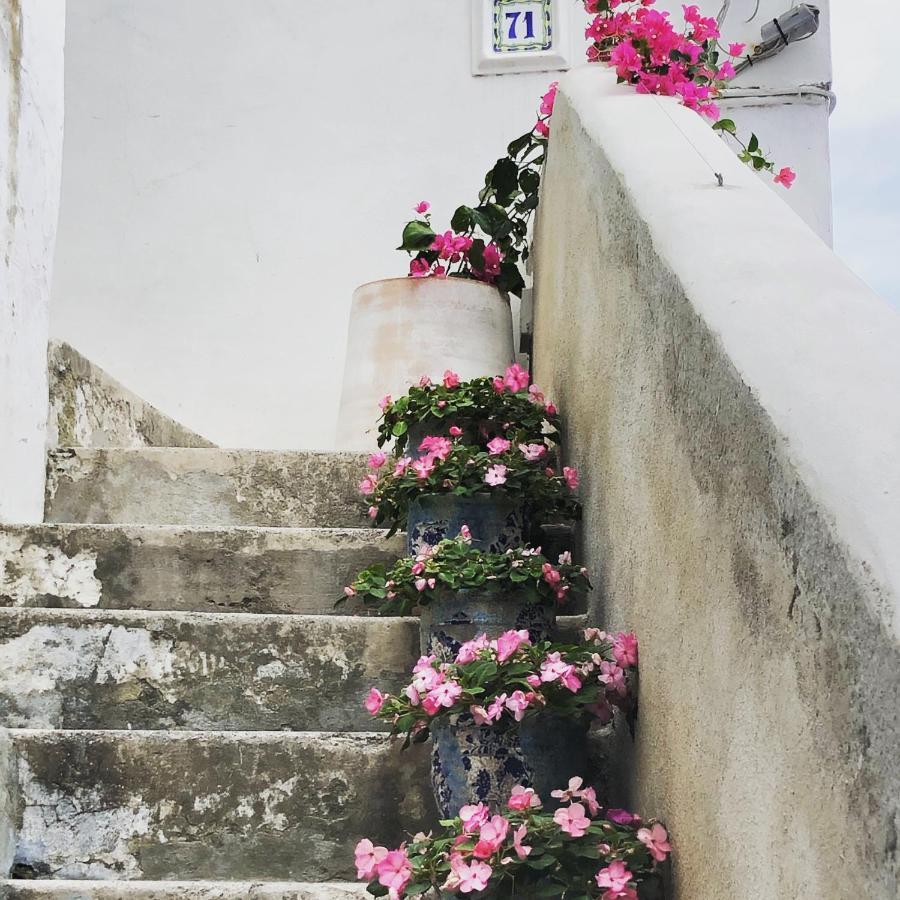 La Baia Di Napoli Apartment Capri Bagian luar foto