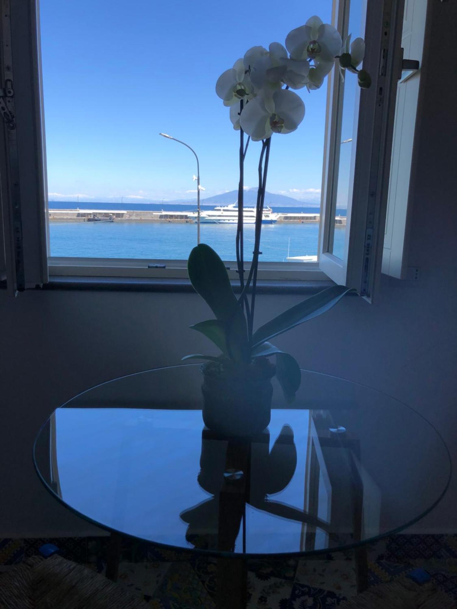 La Baia Di Napoli Apartment Capri Bagian luar foto