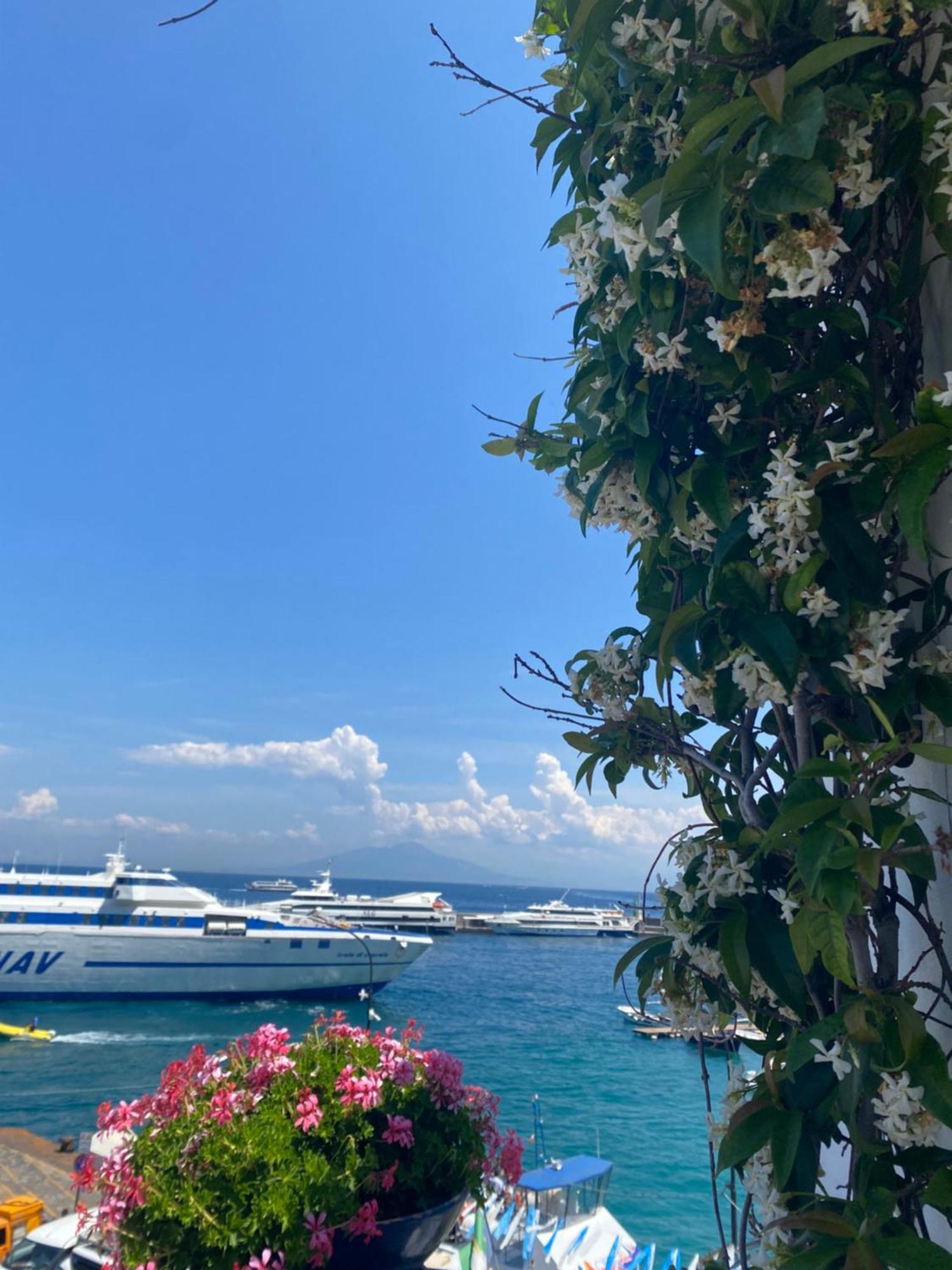 La Baia Di Napoli Apartment Capri Bagian luar foto